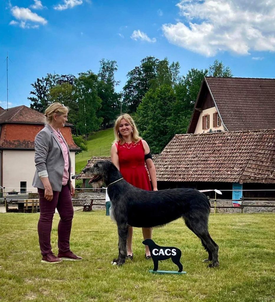 Revelation Du grand chien de culann