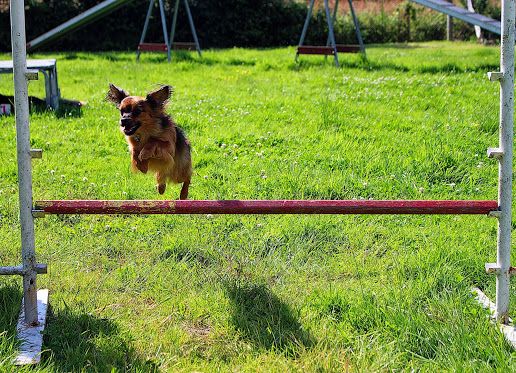 Des bébés pour début septembre