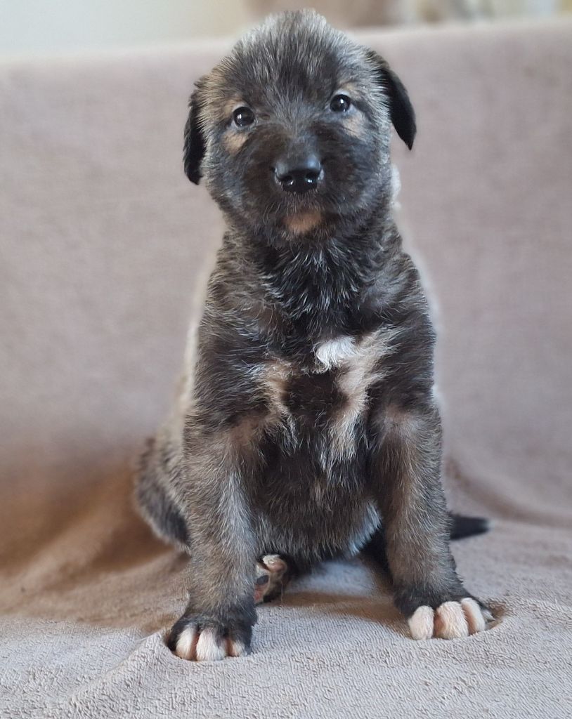 Plus qu une princesse 